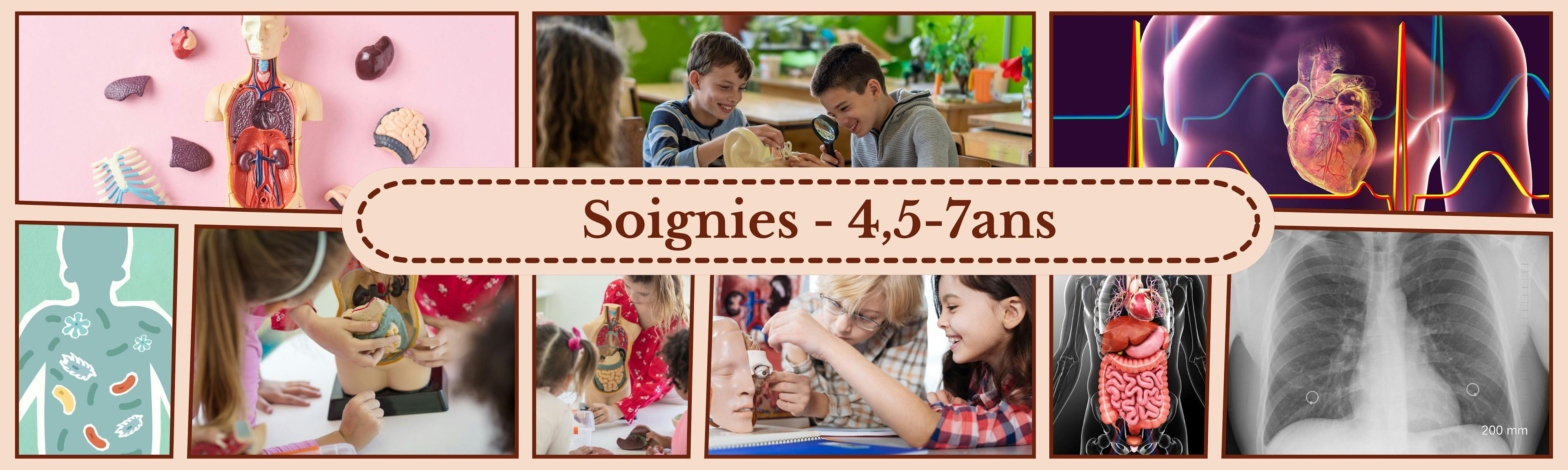 LE CORPS HUMAIN- SOIGNIES
